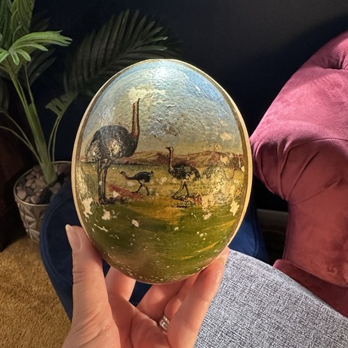 South africa ostrich egg - ostrich,
