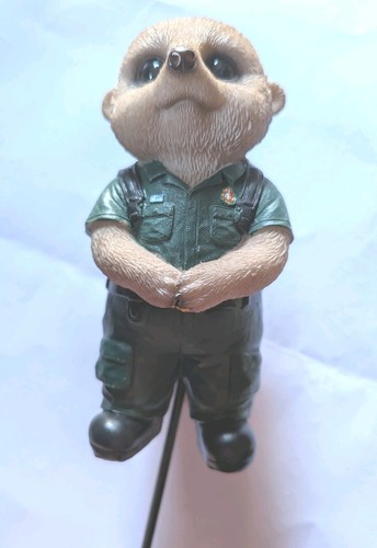 Vivid arts paramedic - vivid,