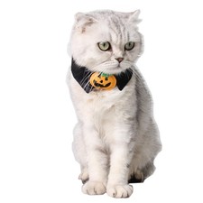 Black Pumpkin Collar Pet Cat