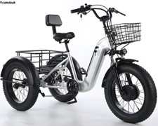 20" electric tricycle 48V