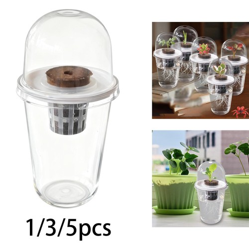 Hydroponics growing system - hydroponics,