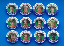 LUTON TOWN  BADGES 1980 SQUAD