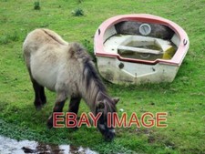PHOTO  SHETLAND PONY AND BOAT