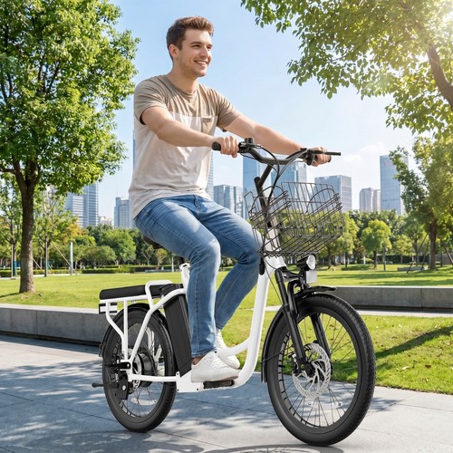 Peak 819w electric scooter - peak,
