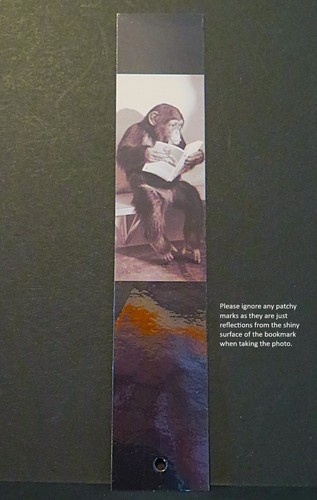 Laminated bookmark 20x4 - laminated,