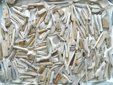 200 Micro To Small Driftwood Pieces For Arts And Crafts