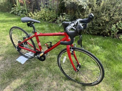 Raleigh performance road - road, 24