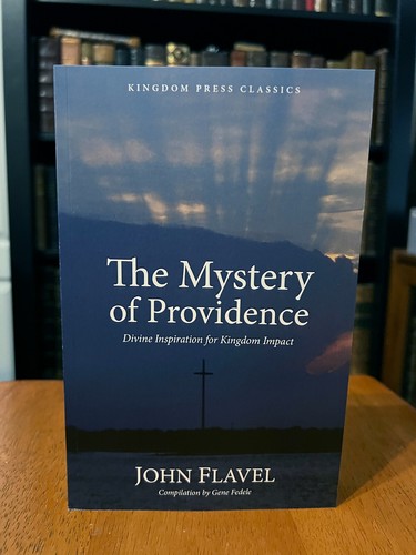 The mystery providence - the, providence,