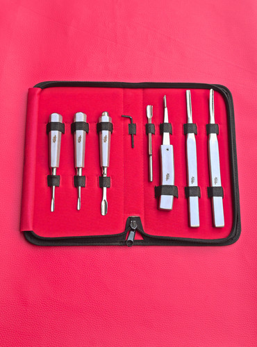 Equine dental elevators set - elevators, of