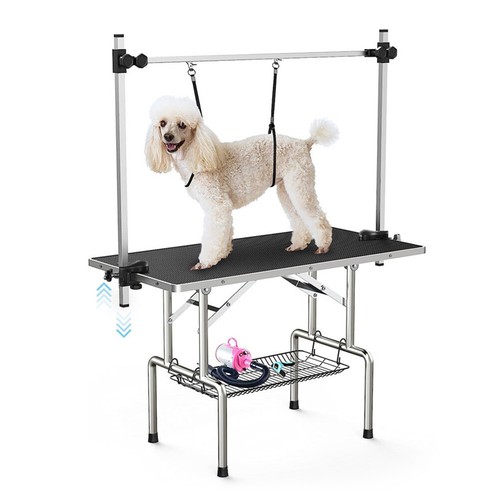 Pet dog cat - cat, grooming
