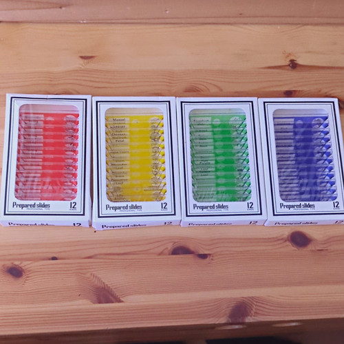 Prepared microscope slide - prepared,