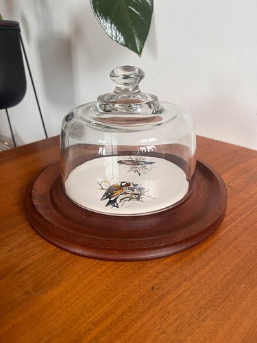 Vintage glass dome cheese - vintage,