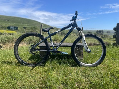 Custom painted dirt jump - painted, bike