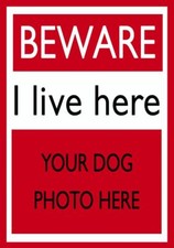 Beware I Live Here Dog metal