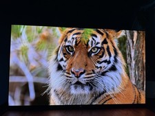 Sony BRAVIA XR A95L 55”