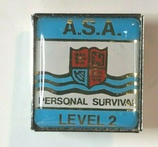 Amateur swimming Association