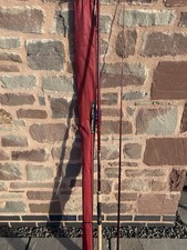 Avanti Hyperactive 11ft Pellet