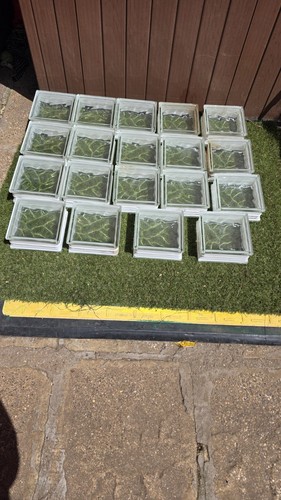 Wavy glass brick - x, brick/block