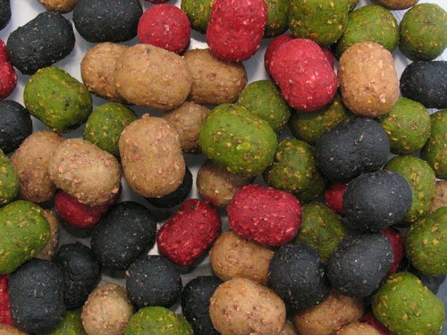 Carp fishing bait hookbait - fishing,