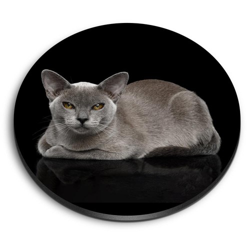 Round fridge mdf - round, magnet