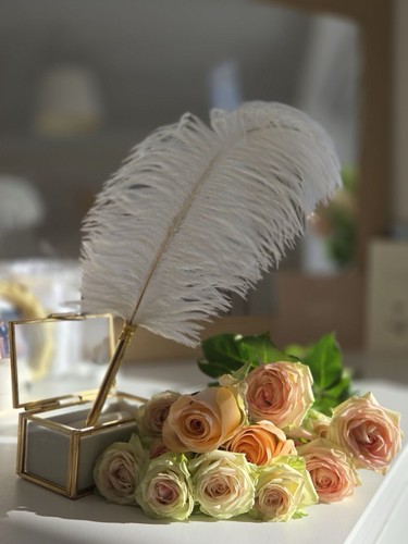 Ostrich feather pen - ostrich, nikkah