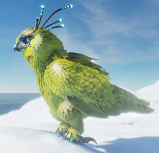 [ARK ASA PVE] 2 x EGGS M & F TOP STAT ID148 [Snow Owl] Ark Ascended