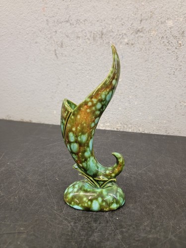 Green bird paradise bud - green, of