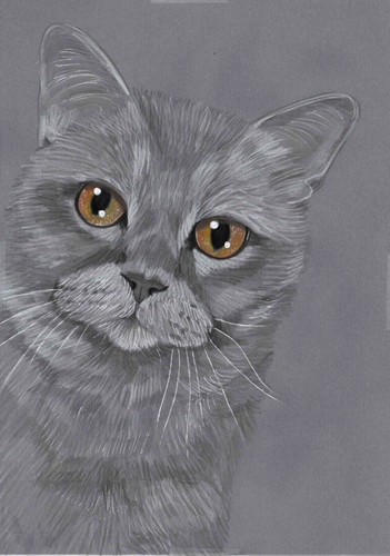 Original color pencil artwork