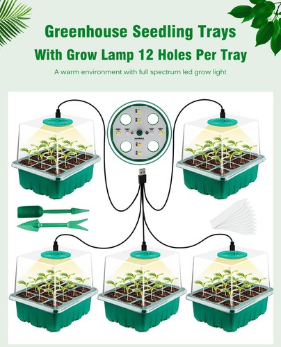 Seed trays propagator with - trays,