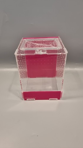 Praying mantis enclosure - mantis,