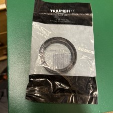 Triumph daytona 595i 955i fork - 595i,