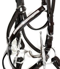 FSS GLOW 2 row Crystal BLING German PADDED Mexican Grackle Figure 8 Noseband NEW