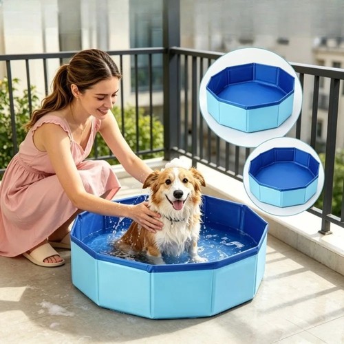 Large pet bath dog swimming - dog,