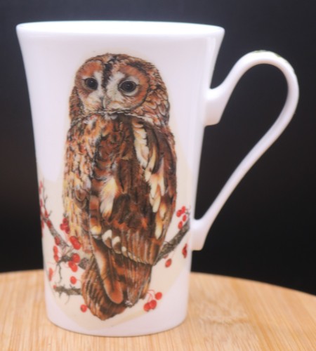Roy kirkham owl - owl, mug