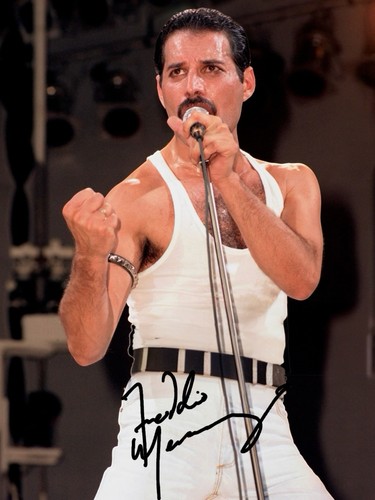 Freddie mercury signed - mercury,
