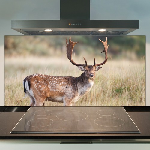 Glass kitchen splashback tile - glass,
