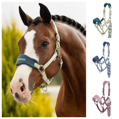 Lemieux vogue headcollar - lemieux, &