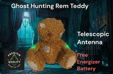 Rem Activity Ghost Hunting