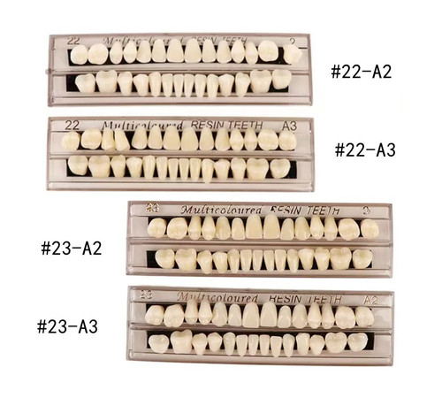 Dental denture resin false - denture,