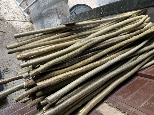 Hazel sticks shafts - sticks, /