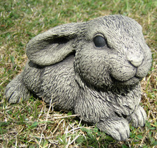 Lop Eared Rabbit Garden