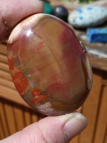 Petrified wood palm stone - wood,