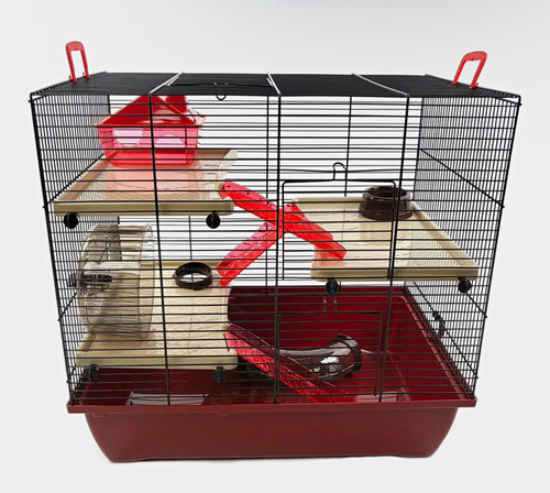 Little friends the grand - the,