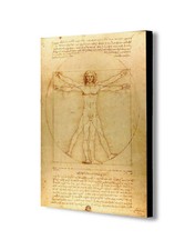 Vitruvian Man by Leonardo da