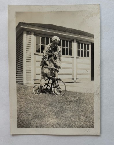 Vintage photo child - child, on