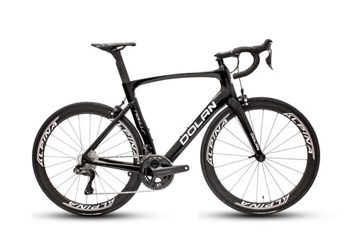 Dolan rebus lrg gloss - (lrg-,
