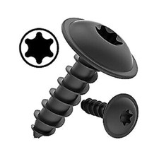 Torx Black Self-Tapping Screws