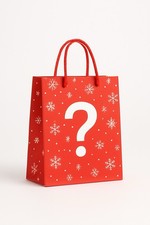 Christmas Mystery Toy