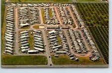 Postcard Texas McAllen Twin