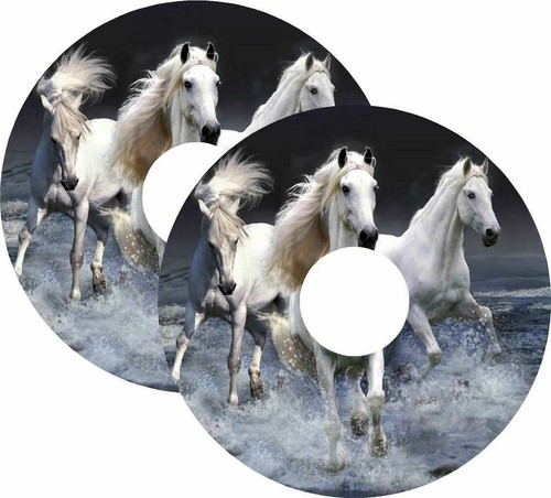 Wheelchair spoke guards - spoke, horses